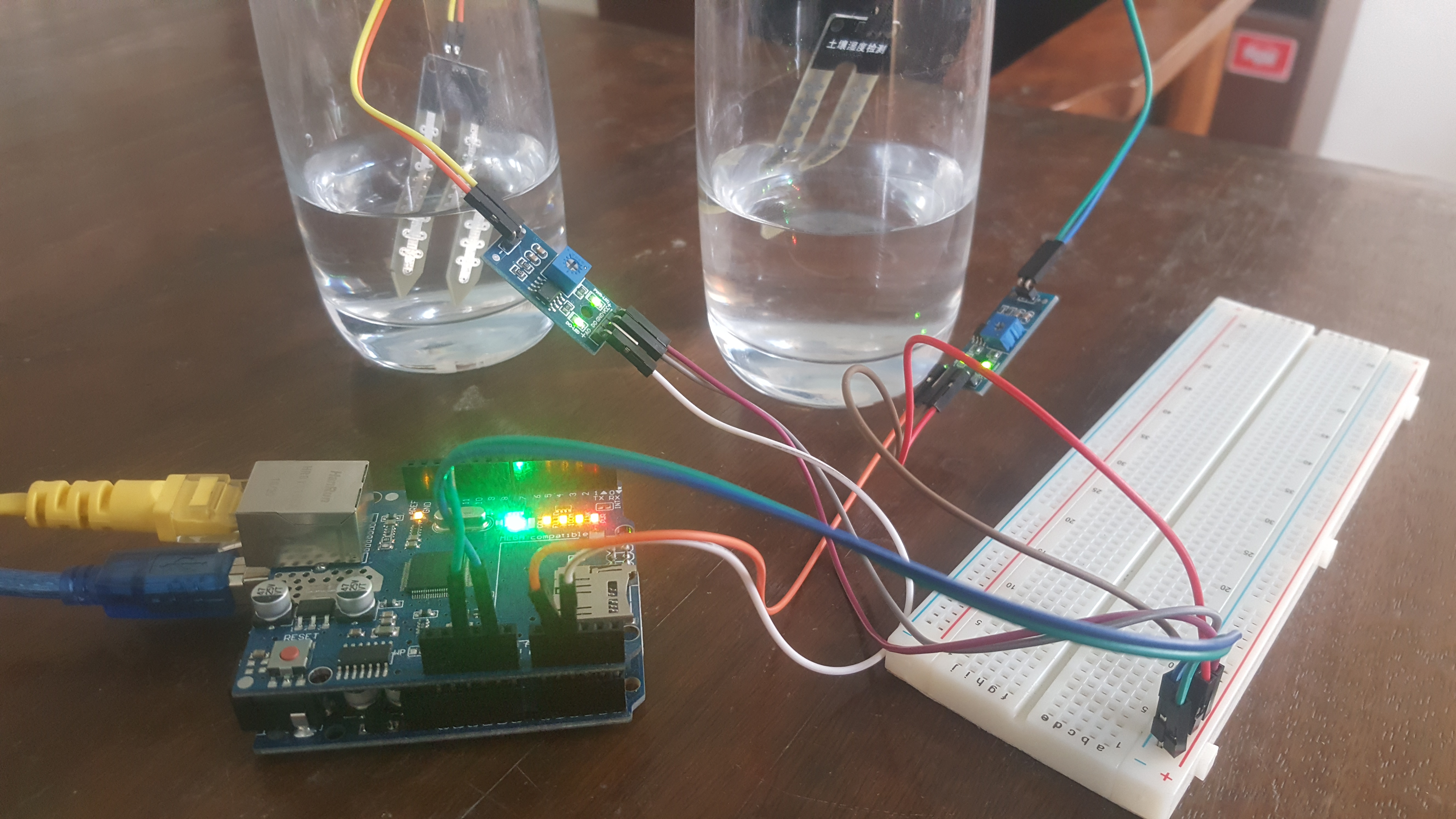 Laboratory based Analysis with PCR and other instruments